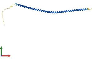 AlphaFold protein structure predicition of Human Recombinant BLOC1S1 Protein, UniprotID P78537