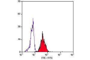 Staining of human peripheral blood monocytes with MOUSE ANTI HUMAN CD54:FITC (ABIN118783). (ICAM1 抗体  (FITC))