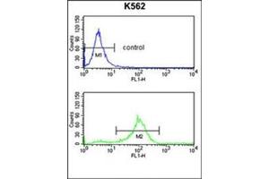 Flow Cytometry analysis of K562 cells using SFRP1 Antibody (N-term) Cat. (SFRP1 抗体  (N-Term))