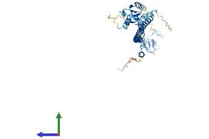 Protein Structure (PS) image for Tripartite Motif Containing 63 (TRIM63) (AA 1-353) protein (His tag) (ABIN7544682)