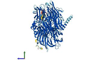 Protein Structure (PS) image for Splicing Factor 3b, Subunit 3, 130kDa (SF3B3) (AA 1-1217) protein (His tag) (ABIN7564849)
