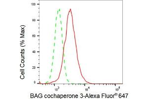 Flow cytometric analysis of BAG cochaperone 3 expression in HepG2 cells using BAG cochaperone 3 antibody (ABIN7800911), 1:2,000). (Recombinant BAG Cochaperone 3 抗体)