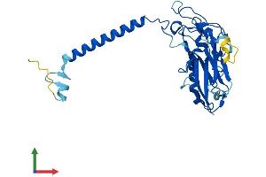 Protein Structure (PS) image for ATPase, Na+/K+ Transporting, beta 1 Polypeptide (ATP1B1) (AA 1-303) protein (His tag) (ABIN7552456)