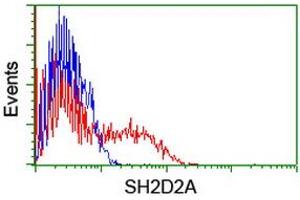 HEK293T cells transfected with either RC204162 overexpress plasmid (Red) or empty vector control plasmid (Blue) were immunostained by anti-SH2D2A antibody (ABIN2455617), and then analyzed by flow cytometry. (SH2D2A 抗体)