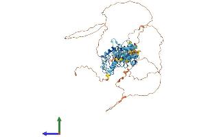 Protein Structure (PS) image for Leucine-Rich Repeats and Calponin Homology (CH) Domain Containing 4 (LRCH4) (AA 1-680) protein (His tag) (ABIN7560191)