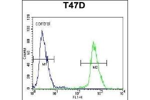 NU Antibody (N-term) (ABIN653920 and ABIN2843154) flow cytometric analysis of T47D cells (right histogram) compared to a negative control cell (left histogram). (NUP210 抗体  (N-Term))