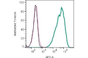 anti-Transmembrane Protein 108 (TMEM108) (AA 208-223), (Extracellular Loop) antibody