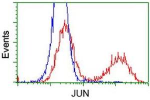 HEK293T cells transfected with either RC209804 overexpress plasmid (Red) or empty vector control plasmid (Blue) were immunostained by anti-JUN antibody (ABIN2453809), and then analyzed by flow cytometry. (C-JUN 抗体)