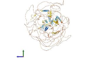 Protein Structure (PS) image for Methyl-CpG Binding Domain Protein 5 (MBD5) (AA 1-1498) protein (His tag) (ABIN7562039)