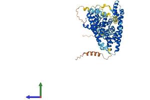 Protein Structure (PS) image for Solute Carrier Family 1 (High Affinity Aspartate/glutamate Transporter), Member 6 (SLC1A6) (AA 1-561) protein (His tag) (ABIN7562334)