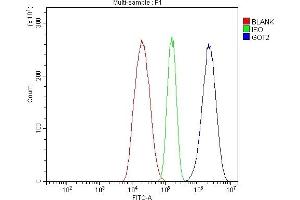 Flow Cytometry analysis of HepG2 cells using anti-FABP-1/GOT2 antibody (ABIN7601426). (GOT2 抗体  (AA 35-430))