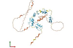 Protein Structure (PS) image for Scratch Homolog 2, Zinc Finger Protein (SCRT2) (AA 1-307) protein (His tag) (ABIN7545989)