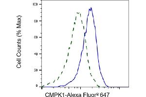 Validation of CMPK1 knockdown using flow cytometry.