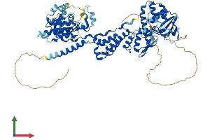 Protein Structure (PS) image for rho-Related BTB Domain Containing 2 (RHOBTB2) (AA 1-728) protein (His tag) (ABIN7559979)