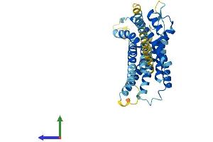 Protein Structure (PS) image for Lysophosphatidic Acid Receptor 6 (LPAR6) (AA 1-344) protein (His tag) (ABIN7558759)