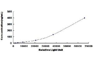 ELISA image for Angiopoietin 1 (ANGPT1) CLIA Kit (ABIN1383665)