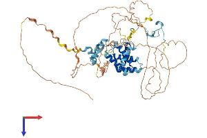 CABLES1 Protein (AA 1-633) (His tag)