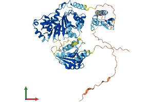 AlphaFold protein structure predicition of Human Recombinant DDX53 Protein, UniprotID Q86TM3