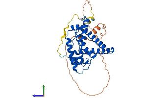 Protein Structure (PS) image for Ubiquinol-Cytochrome C Reductase Complex Chaperone (UQCC) (AA 1-299) protein (His tag) (ABIN7544993)