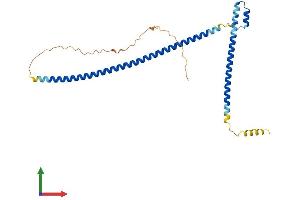 Protein Structure (PS) image for Mirror-Image Polydactyly 1 (MIPOL1) (AA 1-279) protein (His tag) (ABIN7561167)