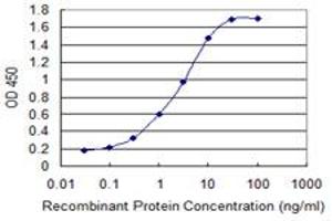 Detection limit for recombinant GST tagged S100A2 is 0. (S100A2 抗体  (AA 1-97))
