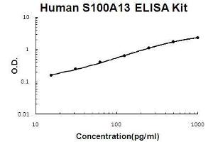 Human S100A13 PicoKine ELISA Kit standard curve (S100A13 ELISA 试剂盒)