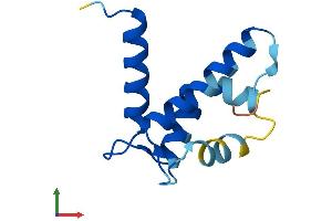 AlphaFold protein structure predicition of Human Recombinant S100A7L2 Protein, UniprotID Q5SY68