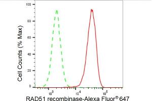 Flow cytometric analysis of RAD51 recombinase expression in HAP-1 cells using RAD51 recombinase antibody (ABIN7798367), 1:2,000). (Recombinant RAD51 抗体)