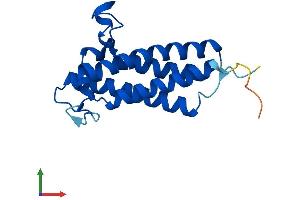 Protein Structure (PS) image for Vitamin K Epoxide Reductase Complex, Subunit 1 (VKORC1) (AA 1-163) protein (His tag) (ABIN7545084)