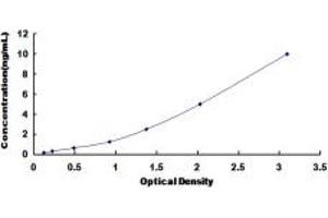 Typical standard curve (CHRDL2 ELISA 试剂盒)