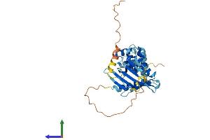 Protein Structure (PS) image for Chromosome 3 Open Reading Frame 38 (C3orf38) (AA 1-329) protein (His tag) (ABIN7553137)