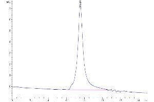 Size-exclusion chromatography-High Pressure Liquid Chromatography (SEC-HPLC) image for MANSC Domain Containing 1 (MANSC1) (AA 25-369) protein (His tag) (ABIN7275228)