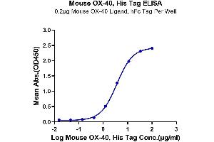 Immobilized Mouse OX-40 Ligand, hFc Tag at 2 μg/mL (100 μL/well) on the plate. (TNFRSF4 Protein (AA 20-211) (His-Avi Tag))