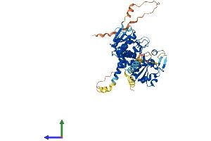Protein Structure (PS) image for CDC14 Cell Division Cycle 14B (CDC14B) (AA 1-485) protein (His tag) (ABIN7558071)