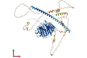 Protein Structure (PS) image for Striatin (STRN) (AA 1-780) protein (His tag) (ABIN7546425)