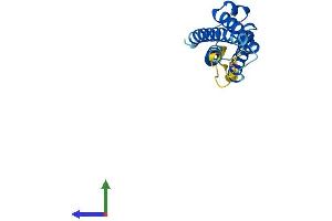 Protein Structure (PS) image for Mal, T Cell Differentiation Protein 2 (MAL2) (AA 1-175) protein (His tag) (ABIN7558666)