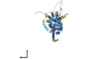 Protein Structure (PS) image for Solute Carrier Organic Anion Transporter Family, Member 2B1 (SLCO2B1) (AA 1-709) protein (His tag) (ABIN7555513)
