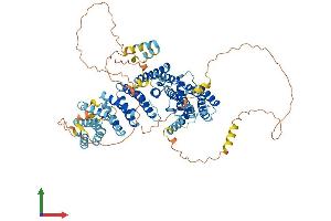 Protein Structure (PS) image for Nucleolar Complex Associated 2 Homolog (NOC2L) (AA 1-749) protein (His tag) (ABIN7554758)