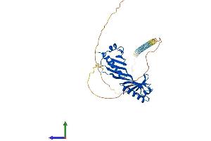 Protein Structure (PS) image for TATA Box Binding Protein (TBP) (AA 1-339) protein (His tag) (ABIN7544170)