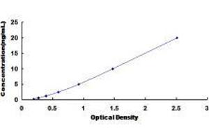 Annexin A1 (ANXA1) ELISA Kit