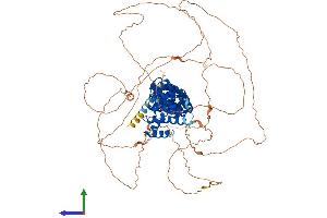 Protein Structure (PS) image for Armadillo Repeat Containing, X-Linked 2 (ARMCX2) (AA 1-784) protein (His tag) (ABIN7557900)