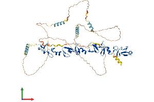 Protein Structure (PS) image for Paxillin (PXN) (AA 1-591) protein (His tag) (ABIN7559946)