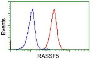 Image no. 3 for anti-Ras Association (RalGDS/AF-6) Domain Family Member 5 (RASSF5) antibody (ABIN1500615) (RASSF5 抗体)
