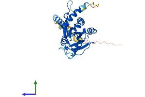 Protein Structure (PS) image for Signal Recognition Particle Receptor, B Subunit (SRPRB) (AA 1-269) protein (His tag) (ABIN7563290)