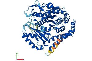 Protein Structure (PS) image for Tubulin, beta 3 (TUBB3) (AA 1-450) protein (His tag) (ABIN7544266)