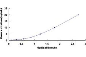 Typical standard curve (GFPT2 ELISA 试剂盒)