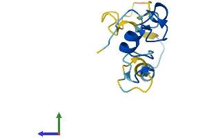 Protein Structure (PS) image for Cysteine-Rich PDZ-Binding Protein (CRIPT) (AA 1-101) protein (His tag) (ABIN7546768)