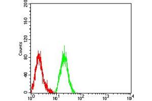Flow cytometric analysis of Jurkat cells using B7H3 mouse mAb (green) and negative control (red). (CD276 抗体  (AA 29-466))