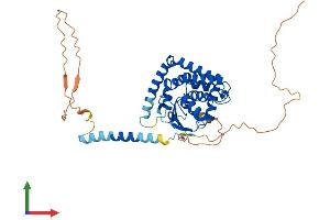 Protein Structure (PS) image for Failed Axon Connections Homolog (Drosophila) (FAXC) (AA 1-409) protein (His tag) (ABIN7547624)