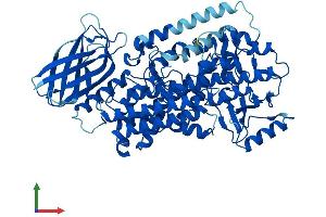 AlphaFold protein structure predicition of Human Recombinant ALOX12 Protein, UniprotID P18054 (ALOX12 Protein (AA 1-663) (His tag))